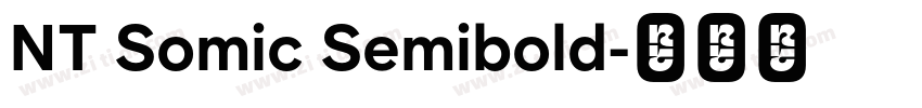 NT Somic Semibold字体转换